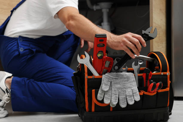 Best Local Plumber Services  in Heber, CA